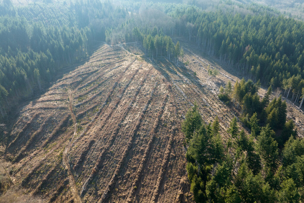 Aerial short of deforested rainforest, symbolizing corporate data scraping