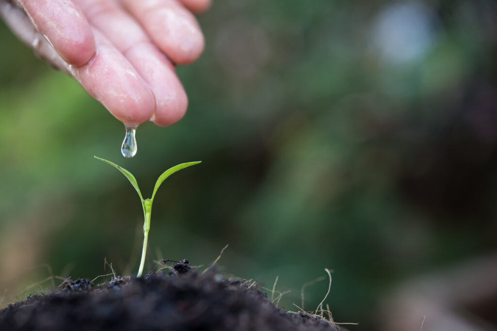 A woman's hand drips water onto a seedling, symbolizing cultivation and growth