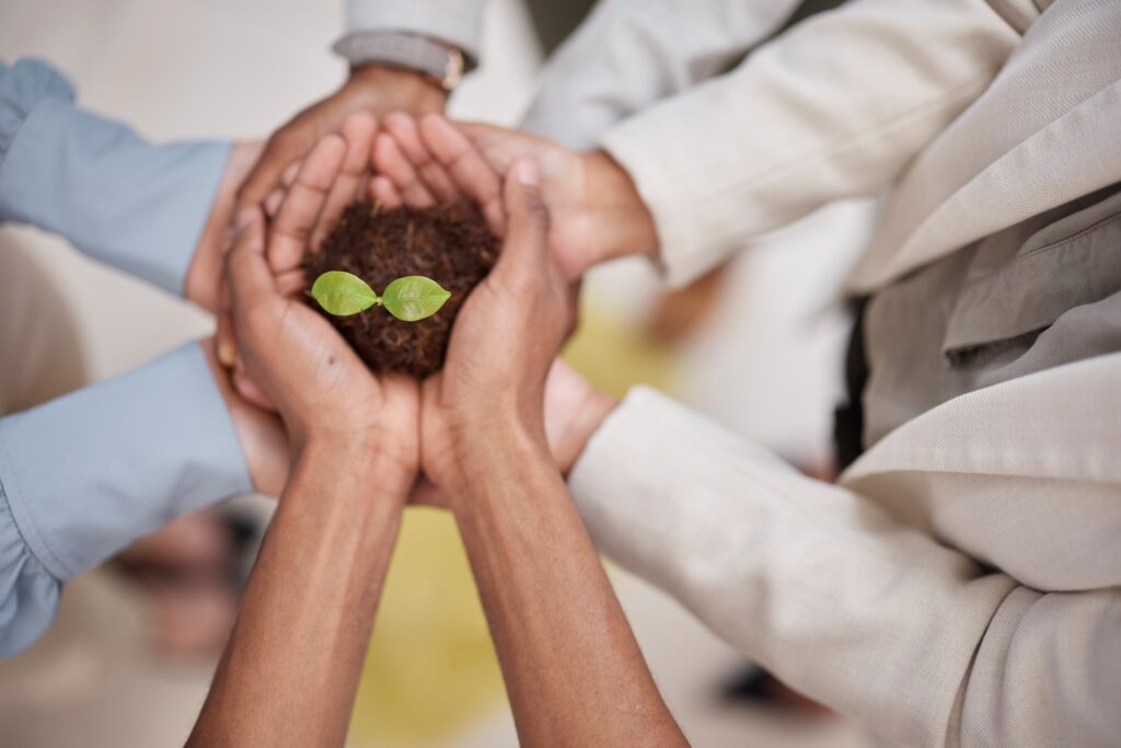 close-up on business people's hands holding a seedling to represent nurturing leads for lead magnet creation